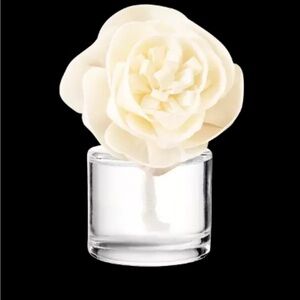 NWT Scentsy Aloe Water & Cucumber - Buttercup Belle
Fragrance Flower